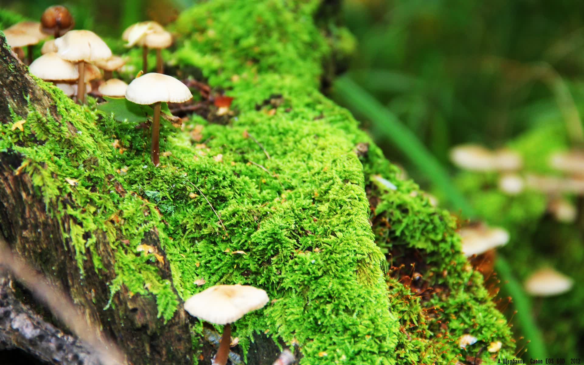 世界保龄球高校联赛赛季后教练研讨总结会举行，保龄球选手世界排名