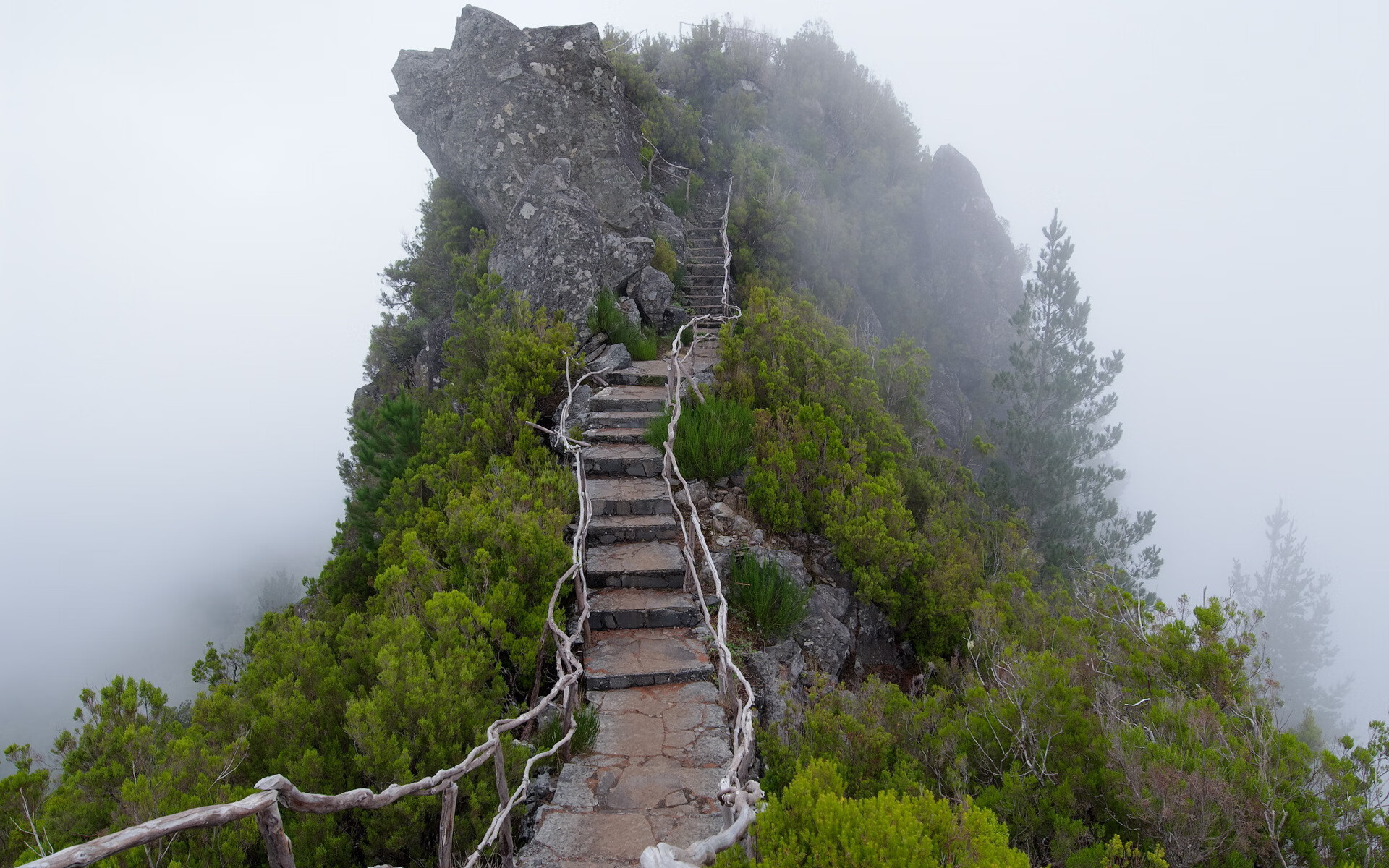 世界登山青年导师生态修复样板营评估报告出炉，世界登山协会